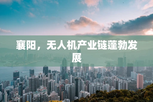 襄阳，无人机产业链蓬勃发展
