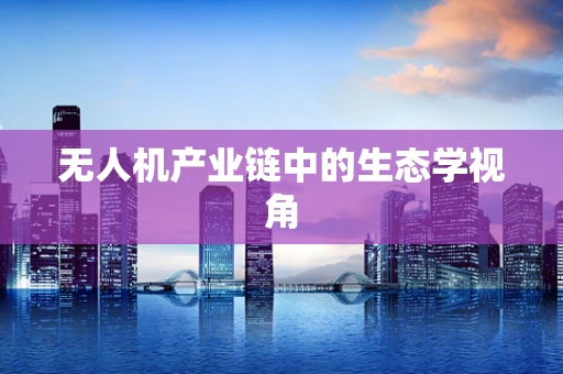 无人机产业链中的生态学视角