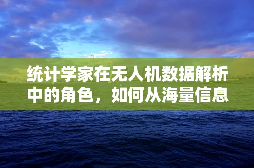 统计学家在无人机数据解析中的角色，如何从海量信息中挖掘价值？