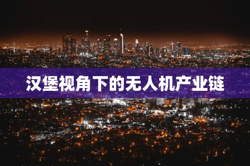 汉堡视角下的无人机产业链