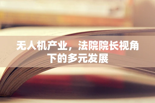 无人机产业，法院院长视角下的多元发展