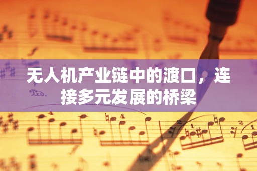 无人机产业链中的渡口，连接多元发展的桥梁