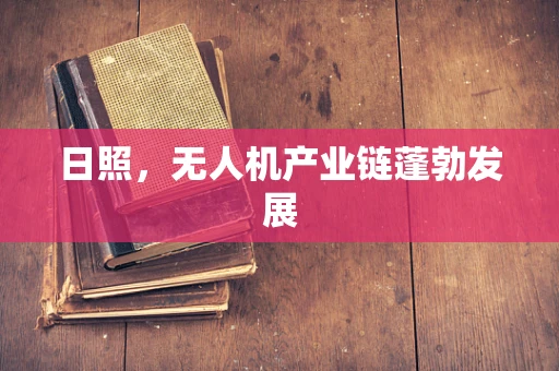 日照，无人机产业链蓬勃发展
