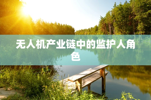无人机产业链中的监护人角色