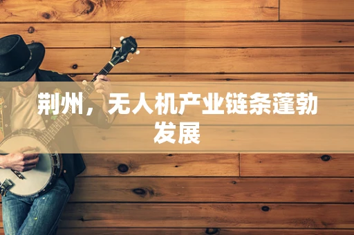 荆州，无人机产业链条蓬勃发展