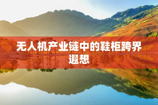 无人机产业链中的鞋柜跨界遐想