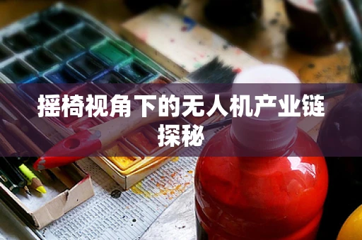 摇椅视角下的无人机产业链探秘