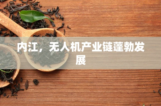 内江，无人机产业链蓬勃发展
