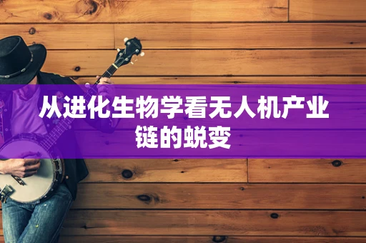 从进化生物学看无人机产业链的蜕变