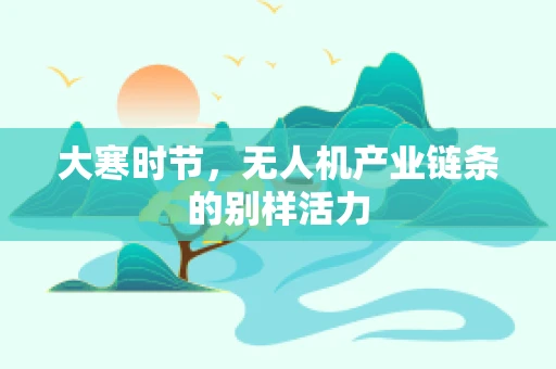 大寒时节，无人机产业链条的别样活力