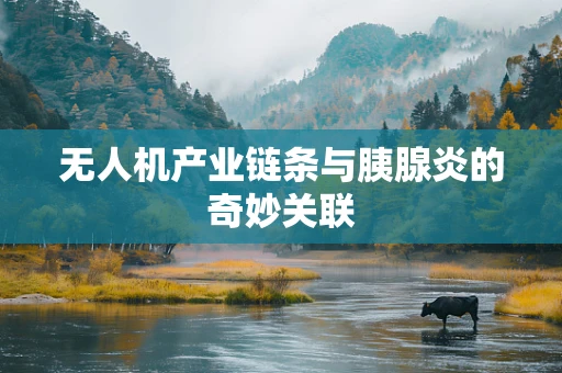 无人机产业链条与胰腺炎的奇妙关联