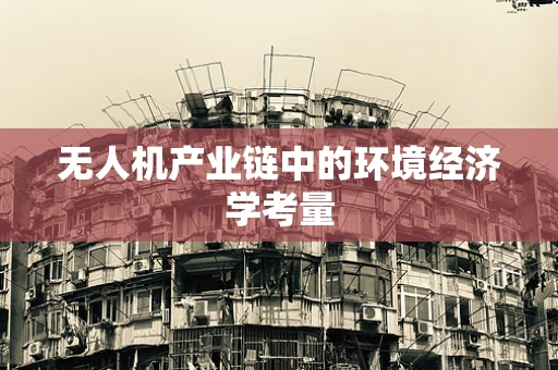 无人机产业链中的环境经济学考量