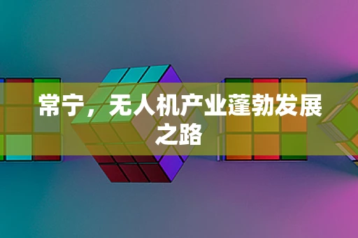 常宁，无人机产业蓬勃发展之路