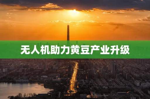 无人机助力黄豆产业升级