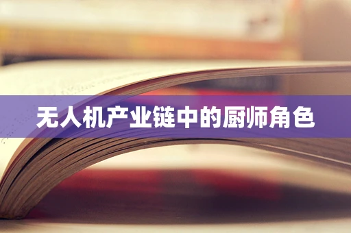 无人机产业链中的厨师角色