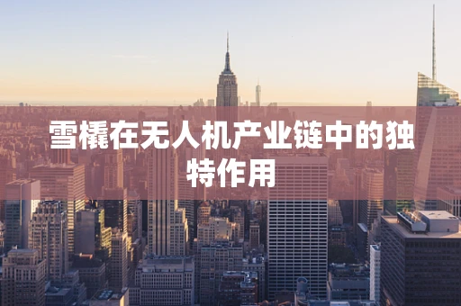 雪橇在无人机产业链中的独特作用
