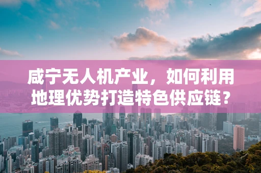 咸宁无人机产业，如何利用地理优势打造特色供应链？