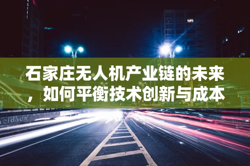 石家庄无人机产业链的未来，如何平衡技术创新与成本控制？