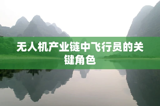 无人机产业链中飞行员的关键角色