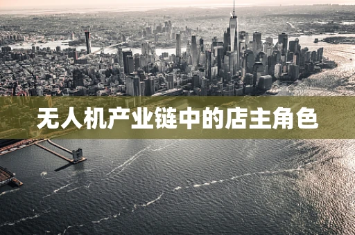 无人机产业链中的店主角色