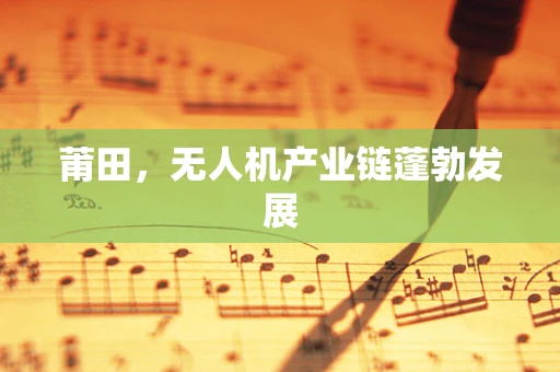 莆田，无人机产业链蓬勃发展