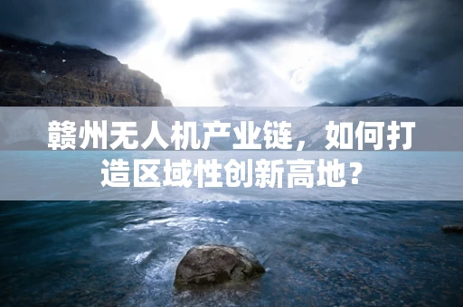 赣州无人机产业链，如何打造区域性创新高地？