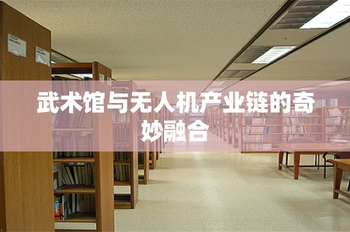 武术馆与无人机产业链的奇妙融合
