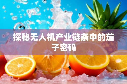 探秘无人机产业链条中的茄子密码