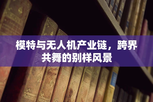 模特与无人机产业链，跨界共舞的别样风景