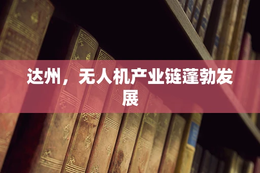 达州，无人机产业链蓬勃发展