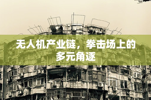 无人机产业链，拳击场上的多元角逐
