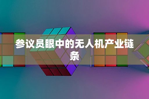 参议员眼中的无人机产业链条