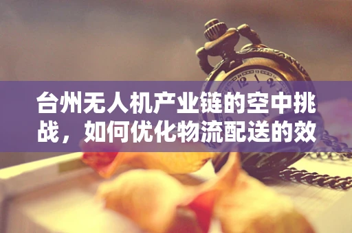 台州无人机产业链的空中挑战，如何优化物流配送的效率与成本？