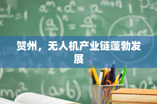 贺州，无人机产业链蓬勃发展