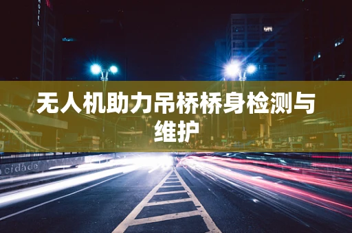 无人机助力吊桥桥身检测与维护