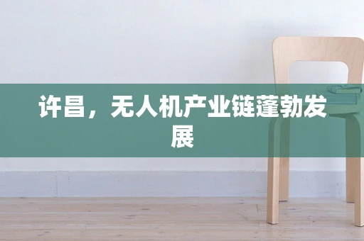 许昌，无人机产业链蓬勃发展