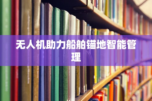 无人机助力船舶锚地智能管理