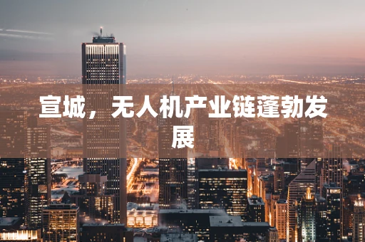 宣城，无人机产业链蓬勃发展