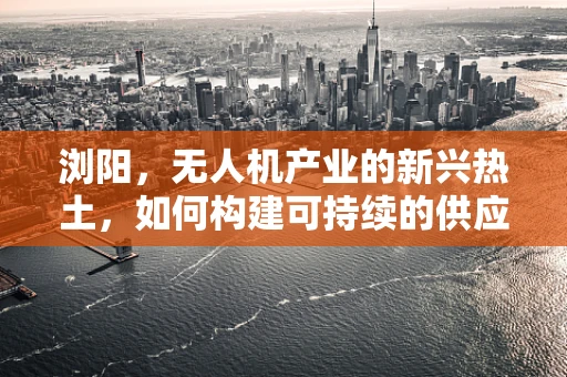 浏阳，无人机产业的新兴热土，如何构建可持续的供应链生态？