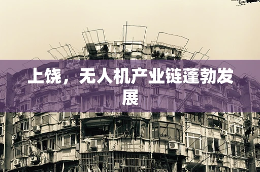 上饶，无人机产业链蓬勃发展