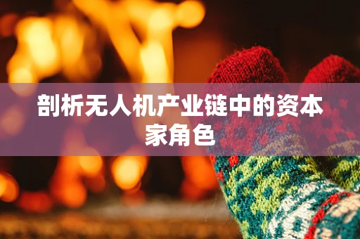 剖析无人机产业链中的资本家角色