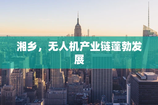 湘乡，无人机产业链蓬勃发展