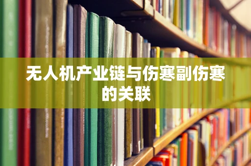无人机产业链与伤寒副伤寒的关联