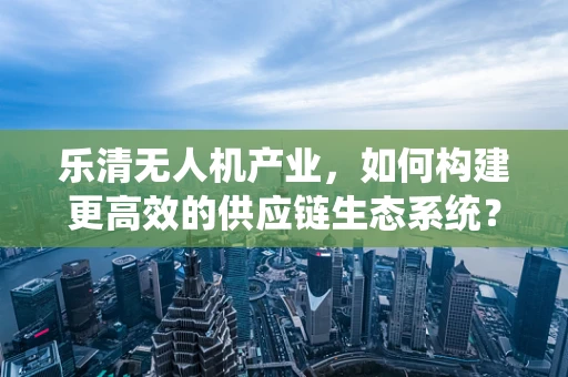 乐清无人机产业，如何构建更高效的供应链生态系统？