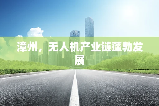 漳州，无人机产业链蓬勃发展