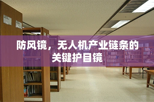 防风镜，无人机产业链条的关键护目镜