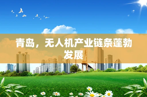 青岛，无人机产业链条蓬勃发展