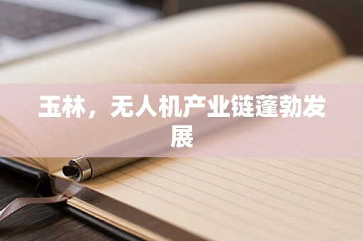 玉林，无人机产业链蓬勃发展