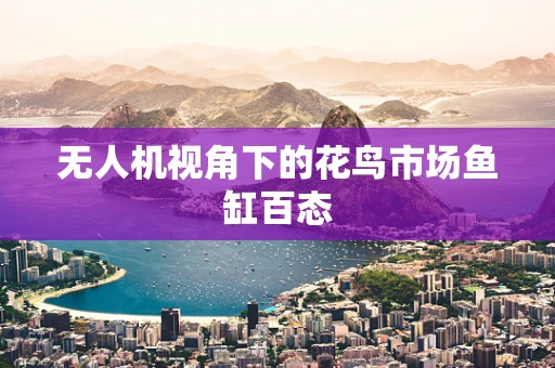 无人机视角下的花鸟市场鱼缸百态