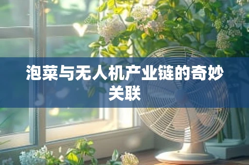 泡菜与无人机产业链的奇妙关联
